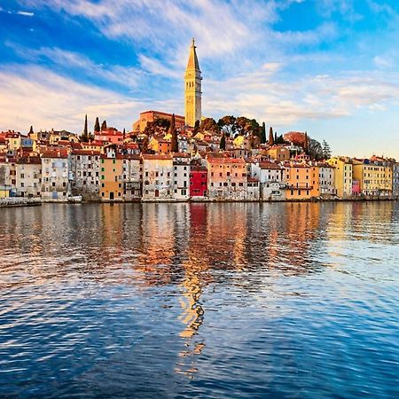 Vila Una With Private Pool Near Rovinj - Open 2022 ロヴィンスコ・セロ エクステリア 写真