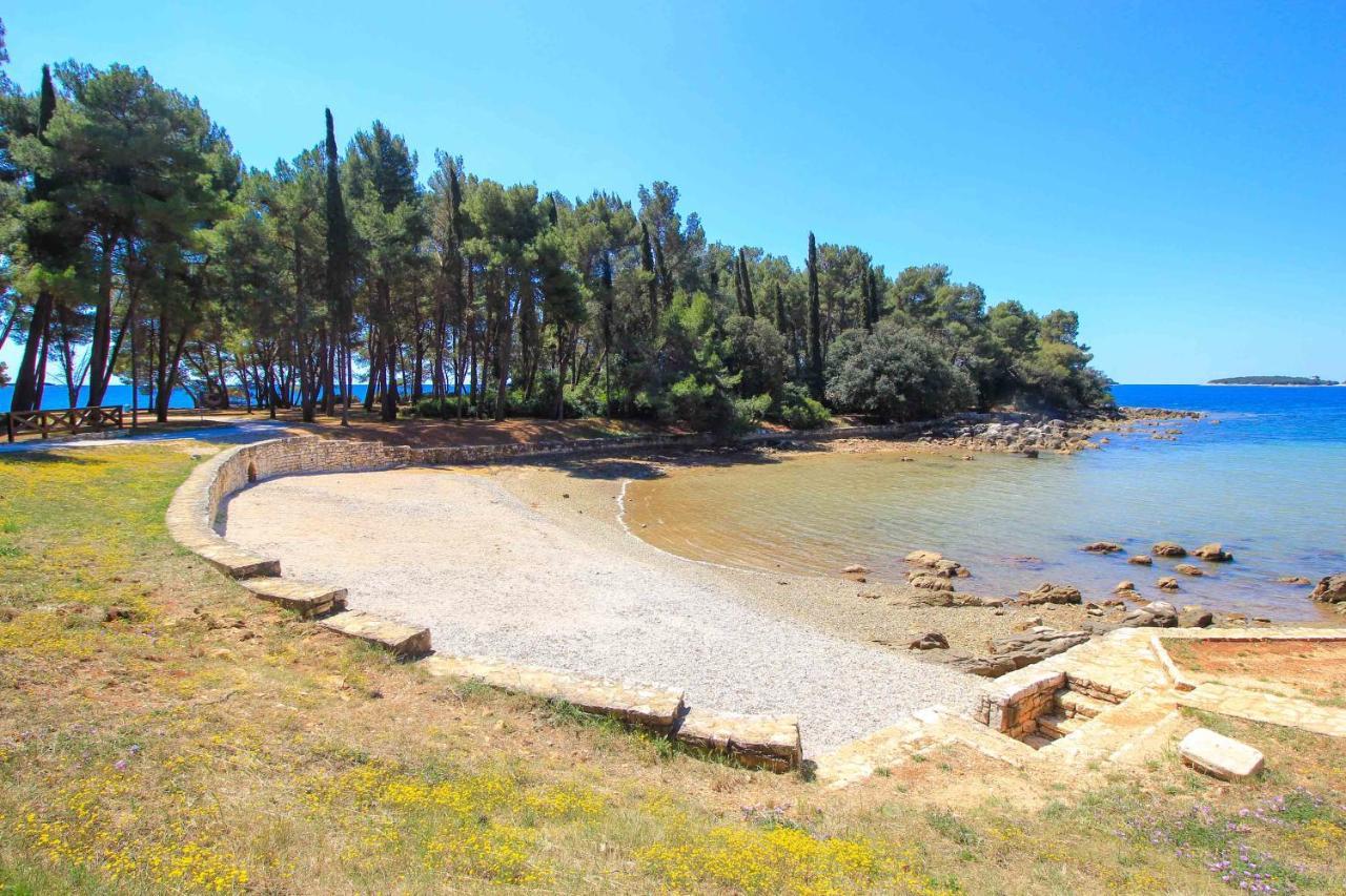 Vila Una With Private Pool Near Rovinj - Open 2022 ロヴィンスコ・セロ エクステリア 写真