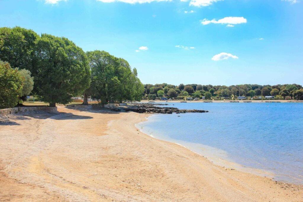 Vila Una With Private Pool Near Rovinj - Open 2022 ロヴィンスコ・セロ エクステリア 写真